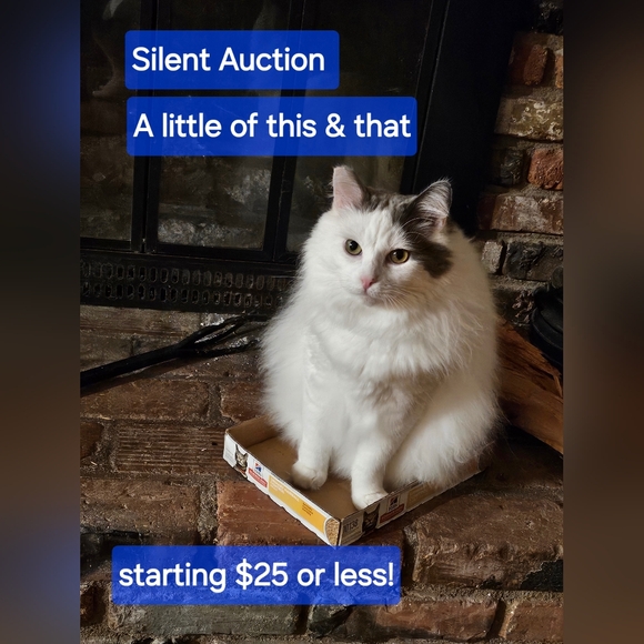 Live Show Flyer - Picture 5 of 10